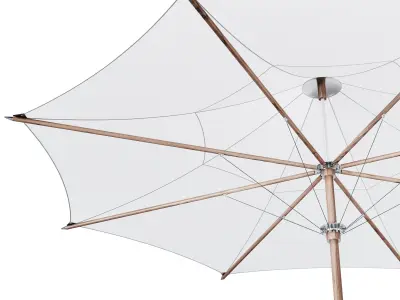 Tensile Parasol 3D model