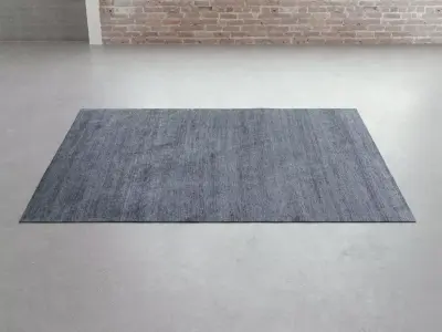 Sathi Plain Carpets 3D model