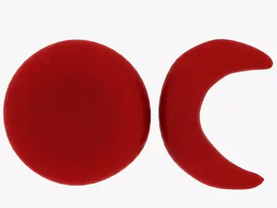 Red blood cell and sickle blood cell Low-poly 3D model