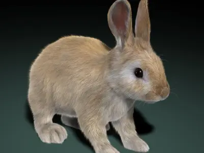  Rabbit Cream (ANIMATED) (FUR) 