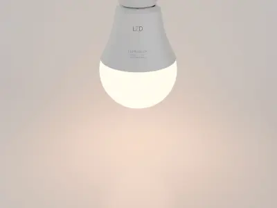 Light bulbs LED Light Bulb 3D model