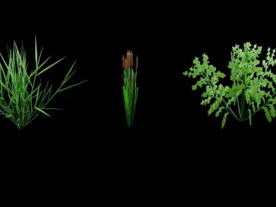 A set of grass for game locations Low-poly 3D model