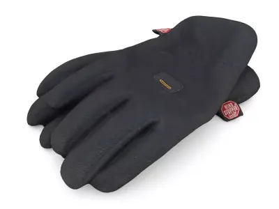 Gloves pair of 3D model