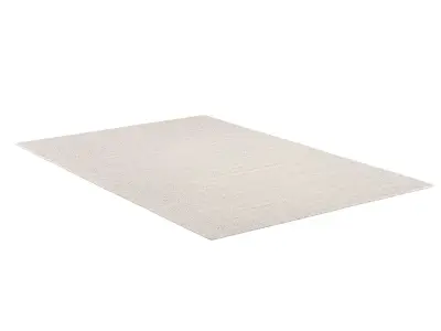 HADIZA WOOL RUG 3D model