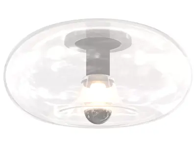 Round Glass Flush Mount 3D model
