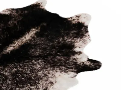 Black And White Cow Hide Rug 3D model