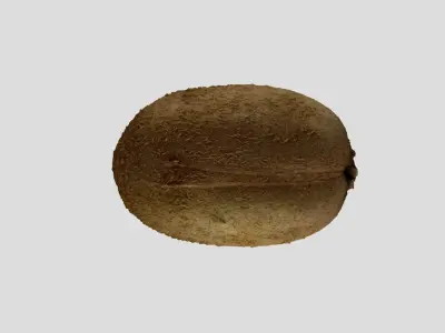 Kiwi Fruit 3D model