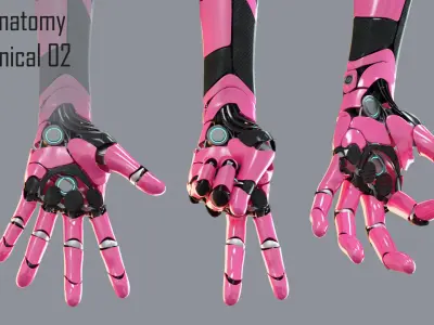 Robotic hand anatomy 02 3D model