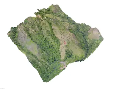 Cotton Farm 15 05 2021 Low-poly 3D model