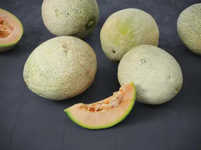 Melons 7 Models
