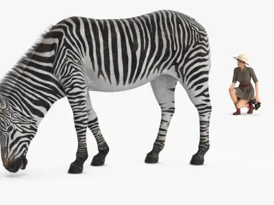  Explorer and Zebra Fur 