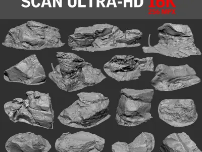  Stone Forest 15 PACK 