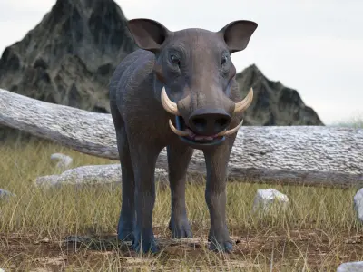  African Mammals Collection 