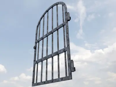 Medieval Prison Door Low-poly 3D model