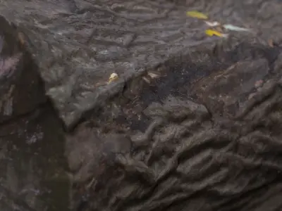 City Park Log Low-poly 3D model