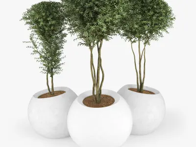 CONTEMPORARY ESFERA 3D model