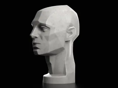 Planes of the Head - John Asaro - 1976  3D print model