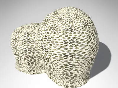 XfrogPlants Honeycomb Coral 3D model