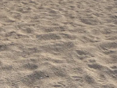 Sand on the shore 3D model