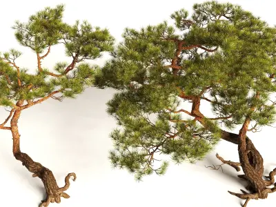Tree 1 3D model