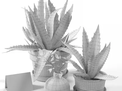 Agave set 01 3D model