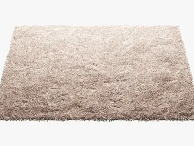 Carpets with long pile 3D model