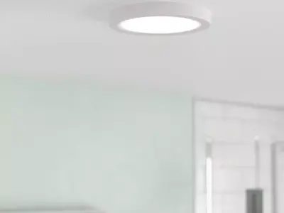 Coro Leitner Light Simple Circle Flush Mount Free 3D model