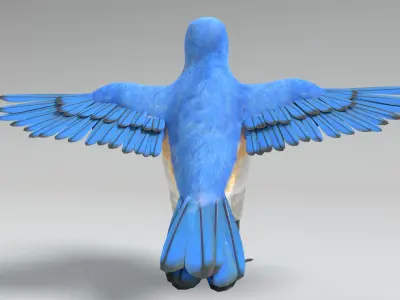  Bluebird Animated 
