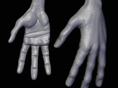 Realistic Alien 8 Sculpt 3D model