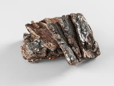 Tree Bark - 3D scan 3D model