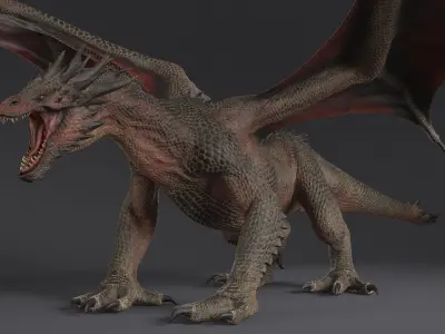  Dragon XO Rigged 