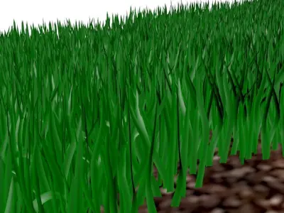 Walk Path With Grasses 3D model