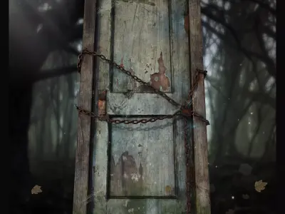 Door001 old door in woods Texture