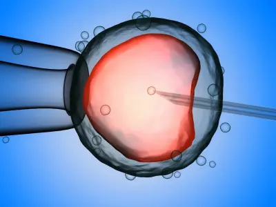 Artificial insemination in vitro fertilization fertility 3D model