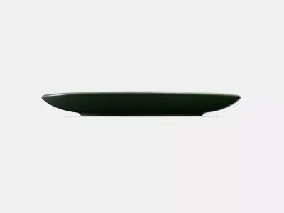 COLOUR CLEAR Plate Low-poly 3D model