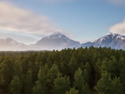 Coniferous Forest - Essential Nature Pack  UNREAL BLENDER Low-poly 3D model