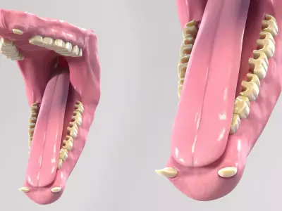 Rhino Mouth 3D model