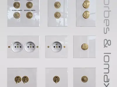 Forbes and lomax 3D model