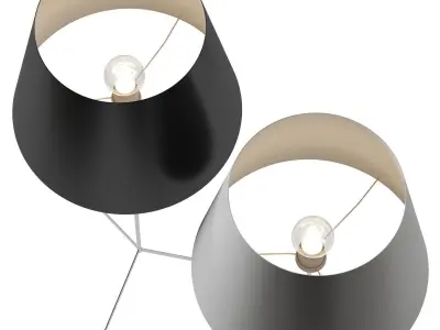 Moooi - Double Shade 3D model