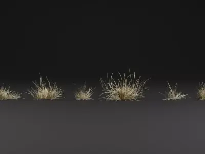 Grass Plant 3D model