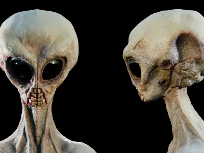 Rigged Realistic Alien 3D model