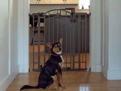 Hitchens Deco Walk-Thru Gate 3D model