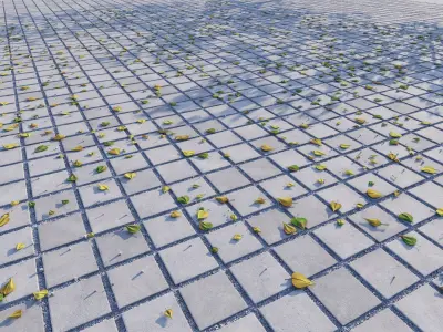 Leaves from Pavements vol01 8K Seamless PBR Materials Texture