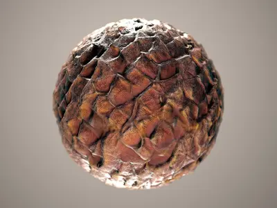 10 Materials Skin Dragon Seamless PBR Volume 12 Texture