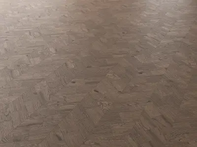 Parquet Oak Missisippi Wild Wood set 6 3D model