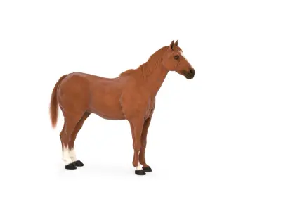  Horse Textured w Fur 