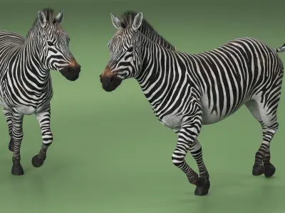  Striped Equine Running Fur 