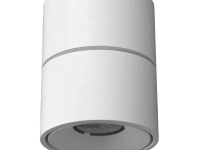 The Tommy adjustable spotlight 3D model