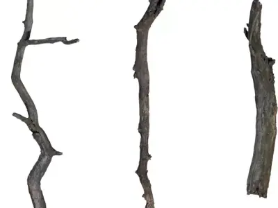 Game Ready Forest Branch and Log Pack Low-poly 3D model