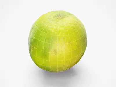 Lime - Photorealistic Scan Low-poly 3D model